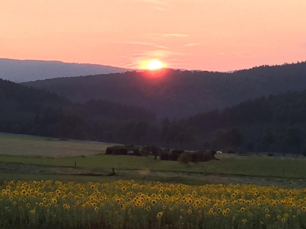 Ferienwohnung Sauerlandblick Goldhausen Buitenkant foto