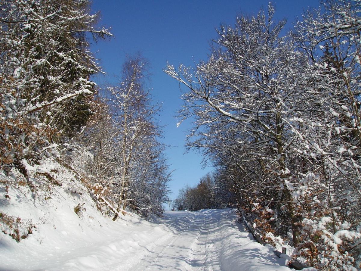 Ferienwohnung Sauerlandblick Goldhausen Buitenkant foto